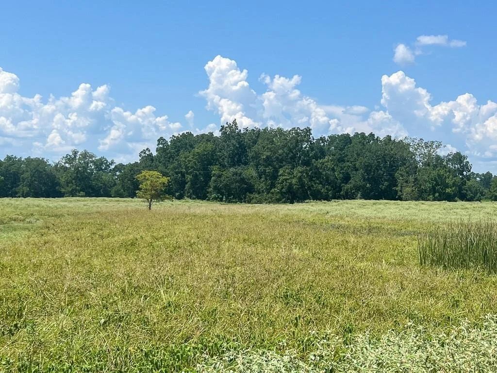 Photo of 0046 Fm 2548 E