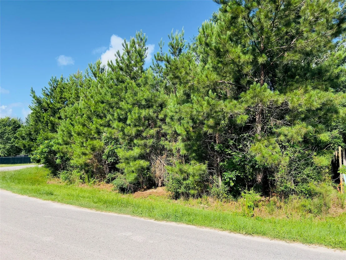 Photo of 971 County Road 3415