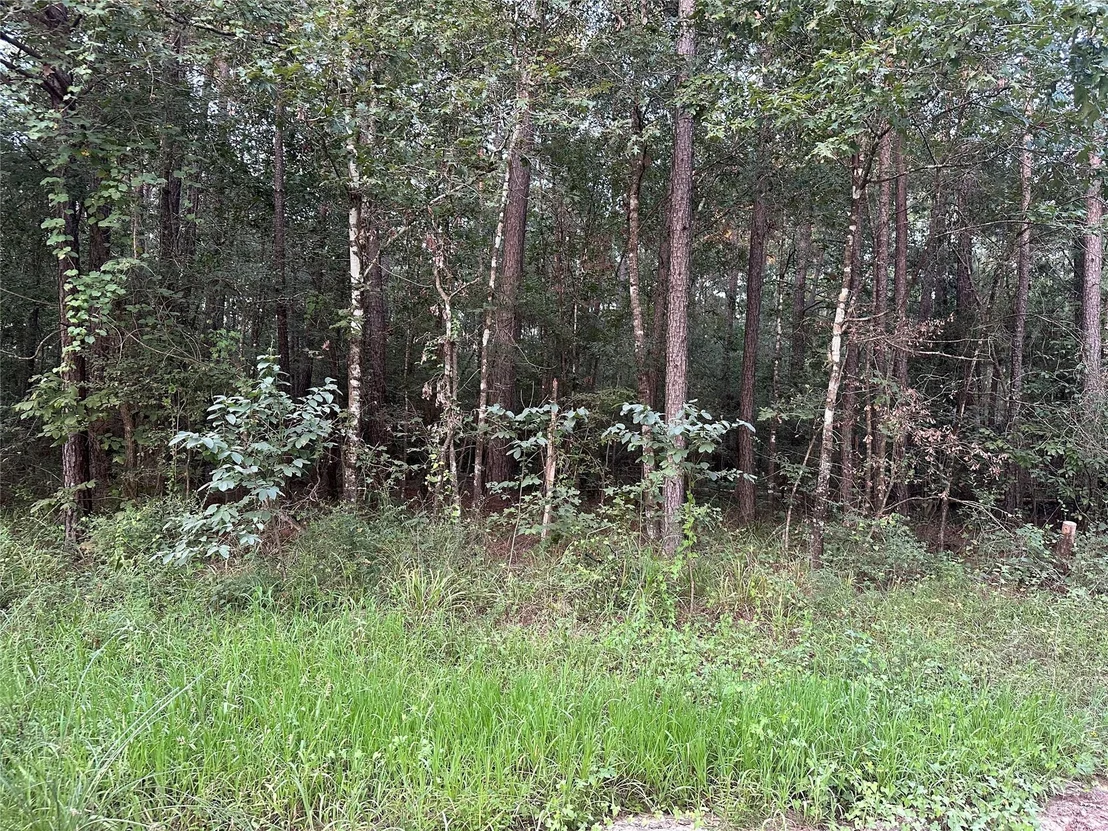 Photo of 2103 Jenkins Road