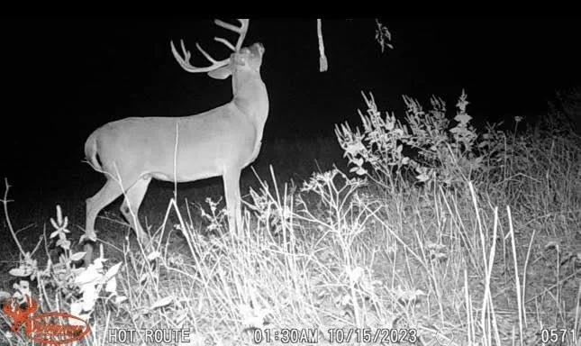 Photo of TBD Pr 1350