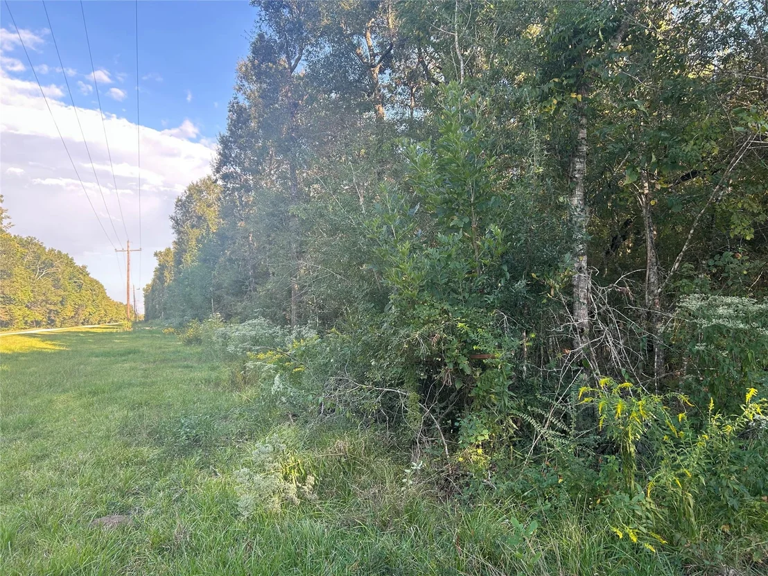 Photo of Tract 45, 46 Tx-61 Pr 117