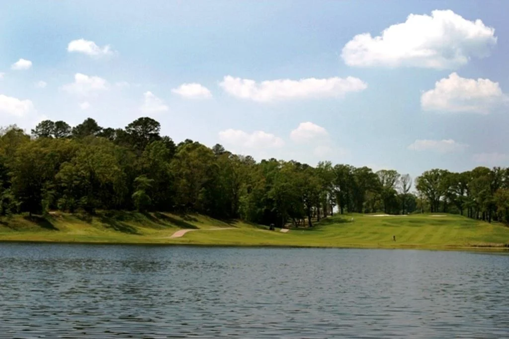 Photo of 137 Eagles Bluff Blvd S