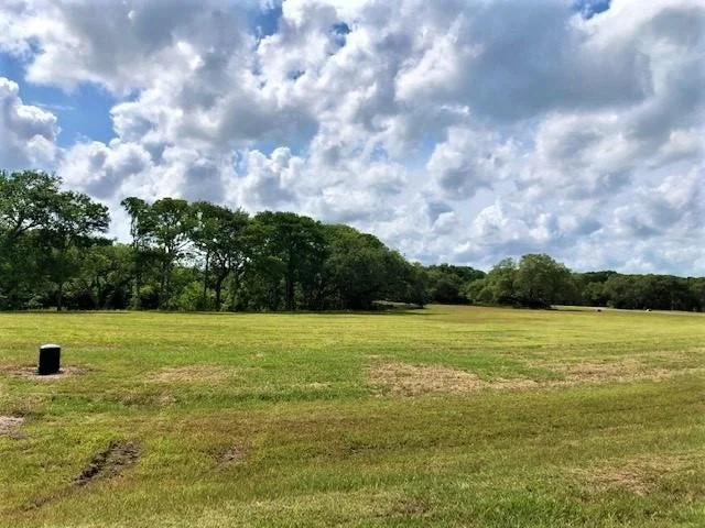 Photo of 223 River Tree Drive