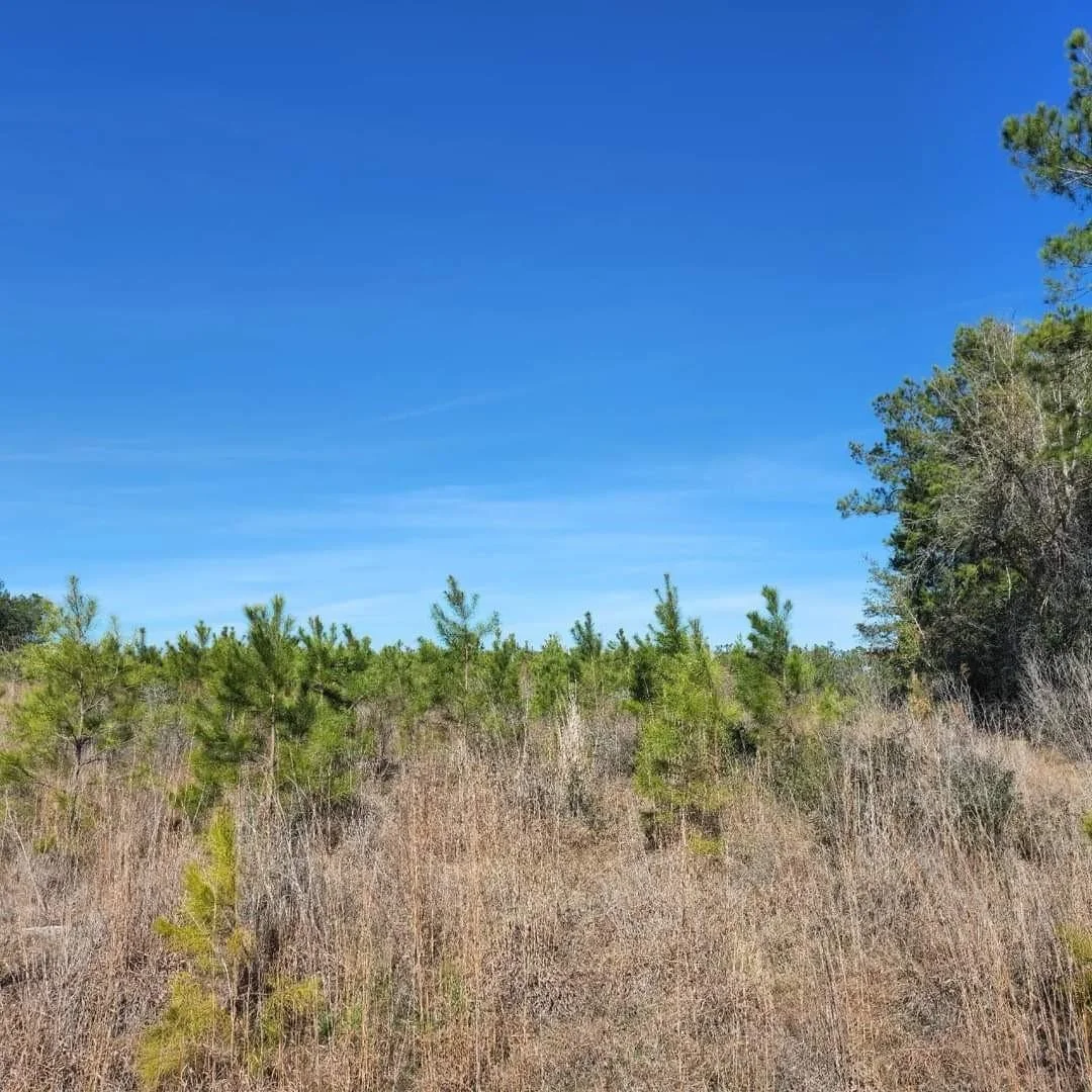 Photo of 26827 Us-59 Road
