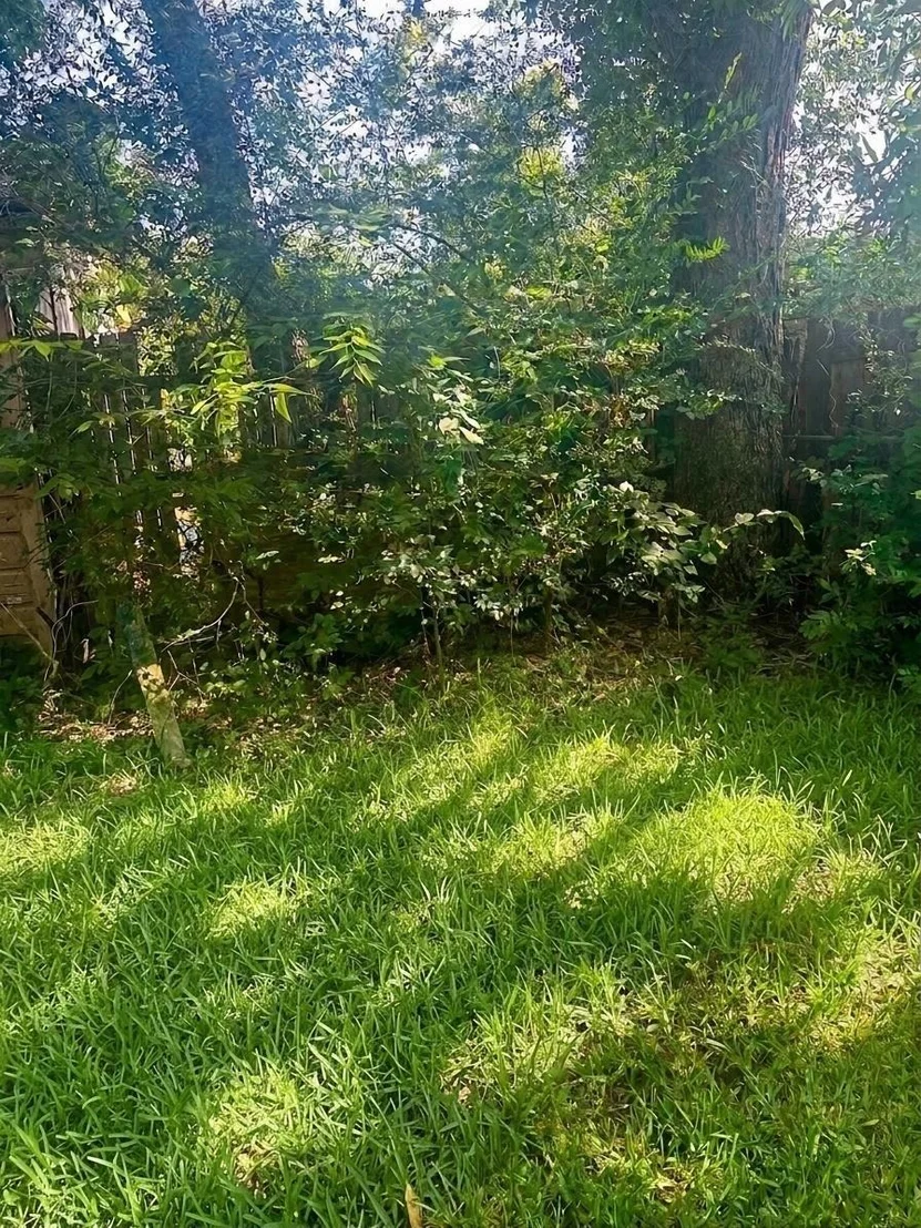 Photo of 1605 W Johnson Street