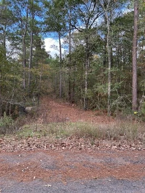 Photo of 4807 Cathey Lane