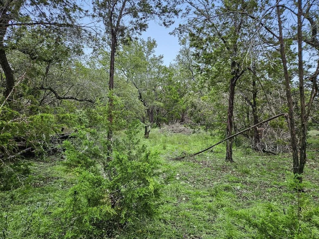 Photo of 157 Verbena Circle