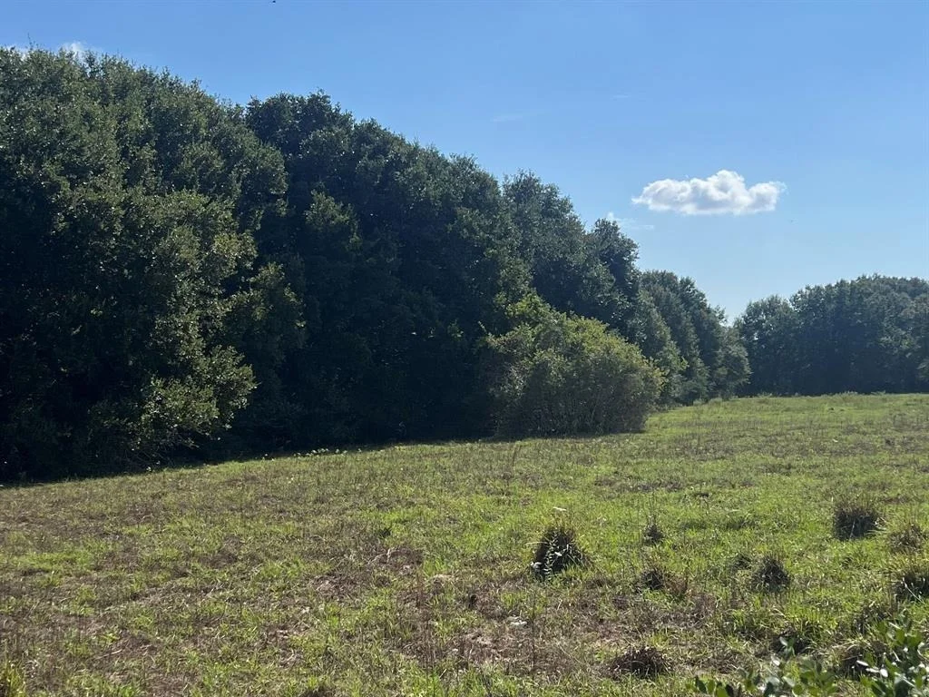 Photo of 0 Schultz Road