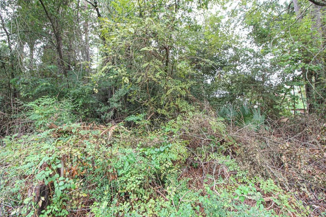 Photo of 345 Cherokee Lane