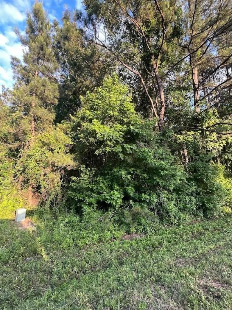 Photo of 108 Peach Creek Drive