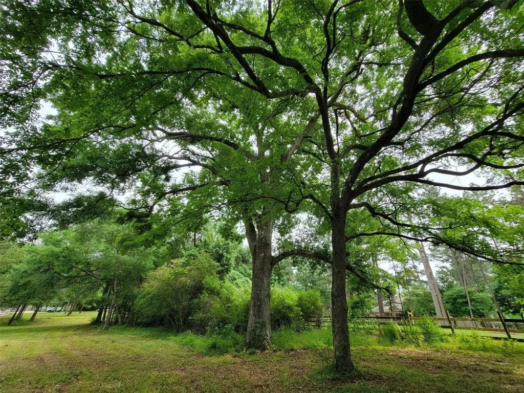 Photo of 2700 Spring Branch Road
