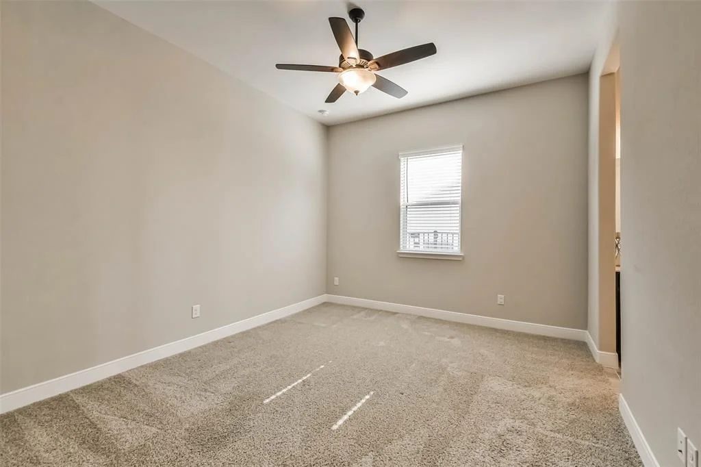 Photo of 11131 Heartleaf Aster Way