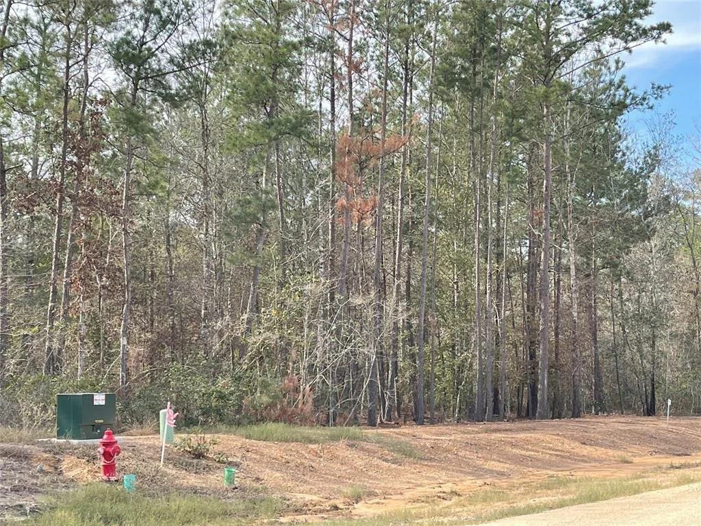 Photo of 11640 Grand North Road