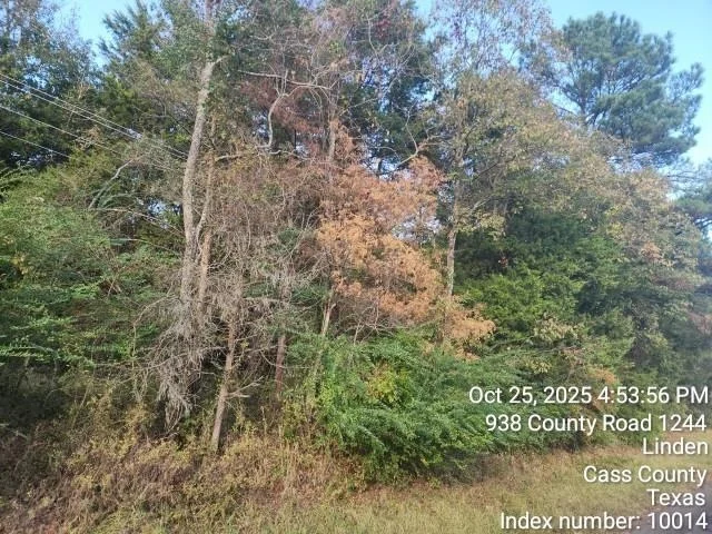 Photo of 938 County Road 1244 Road