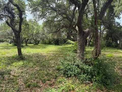 Photo of 1910 Pace Avenue