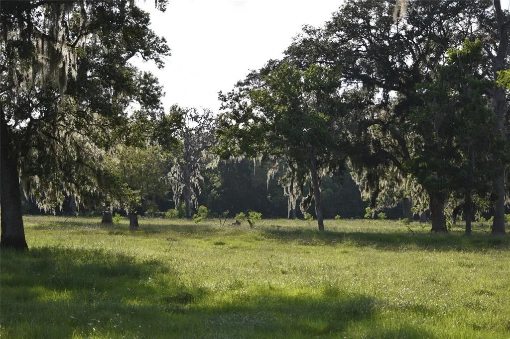 Photo of 5300 U-Pond Drive/County Road 611