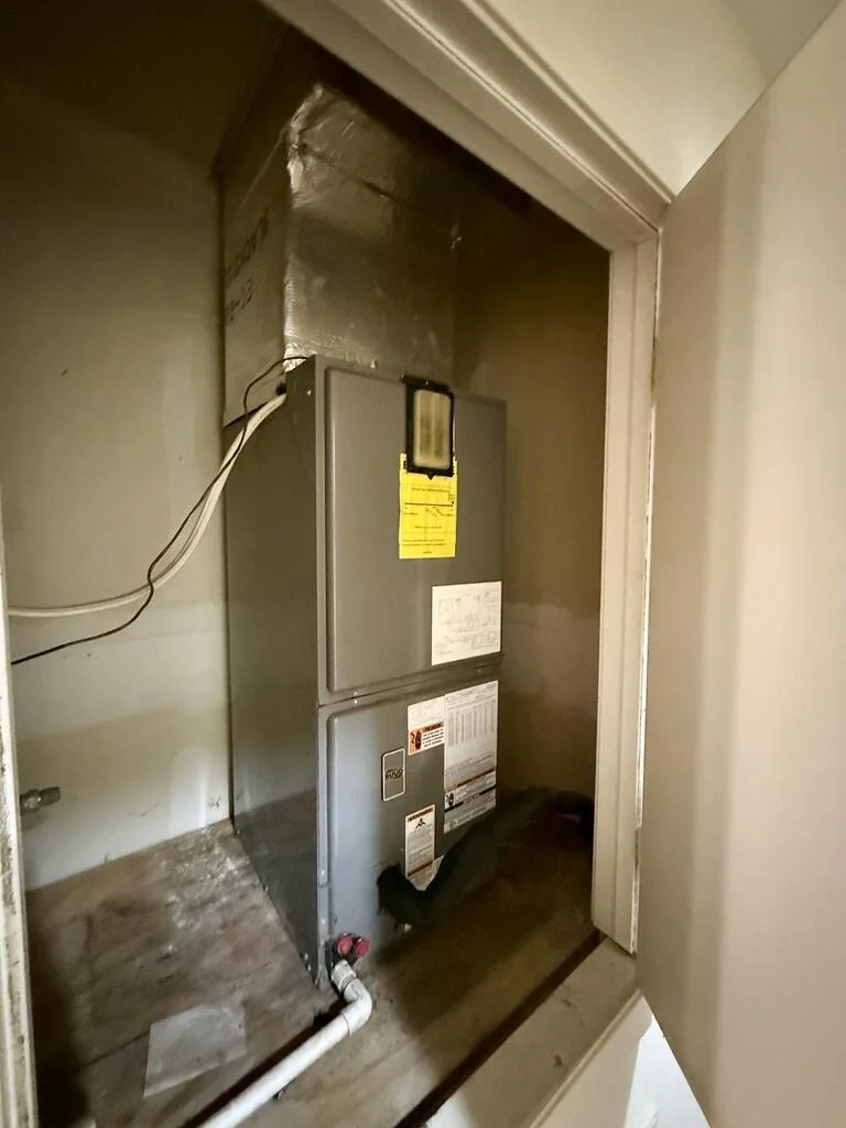 Photo of 104 Zube