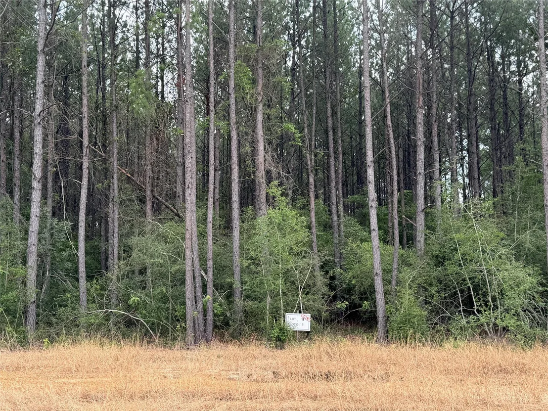 Photo of 10634 Forest Mill Road