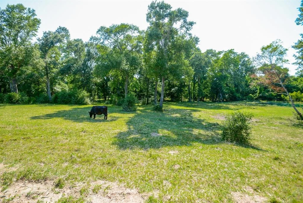 Photo of 28319 Clarke Bottom Road