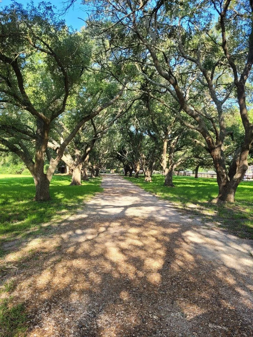 Photo of 5606 Highland Road