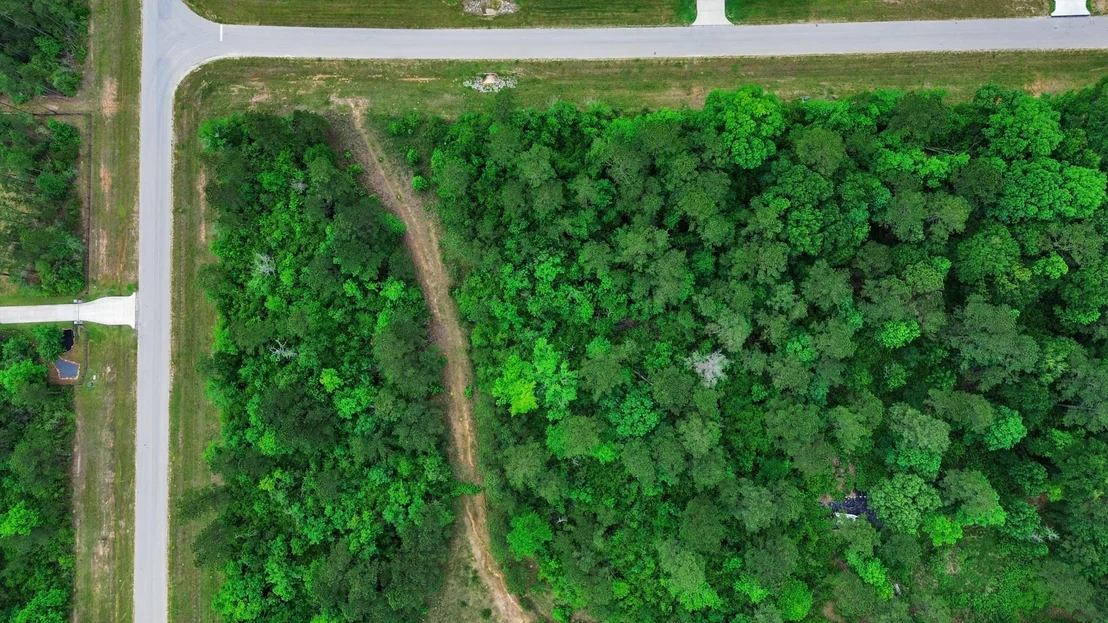 Photo of 10517 Single Shot Lane