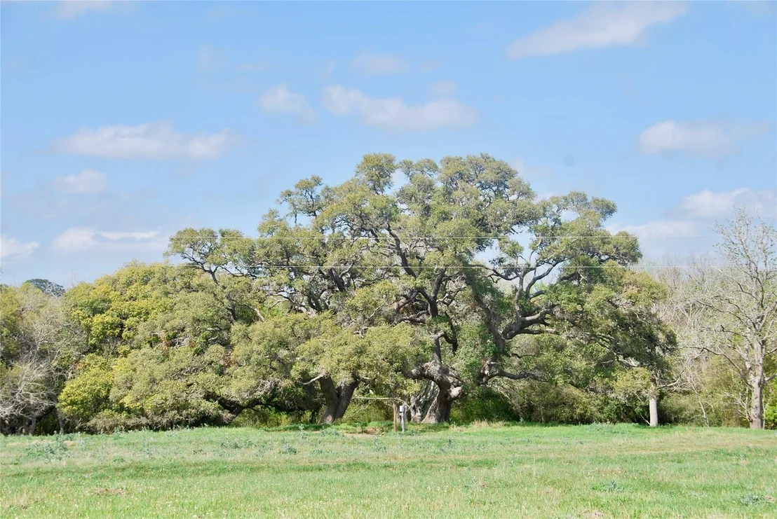 Photo of 494 County Road 217c