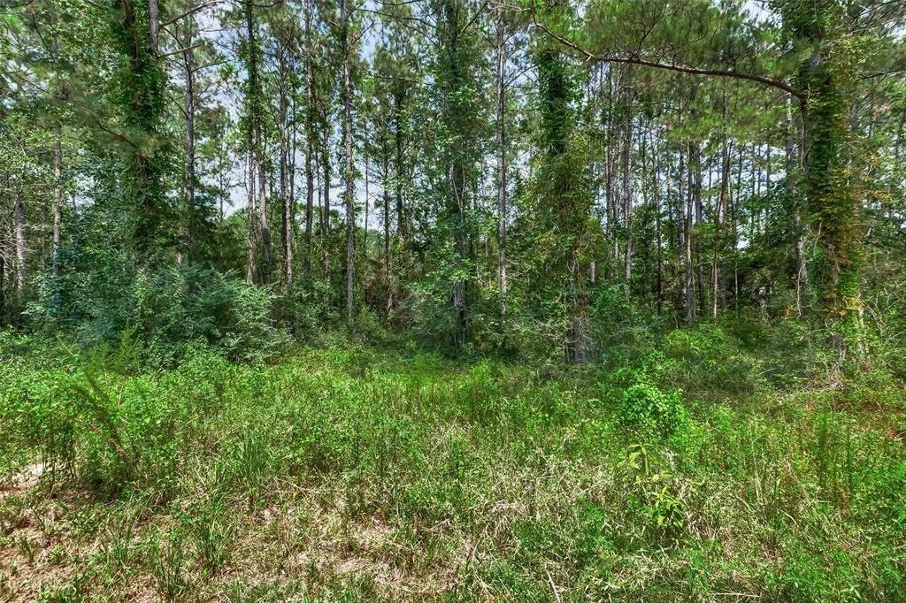 Photo of 10725 Newton Circle