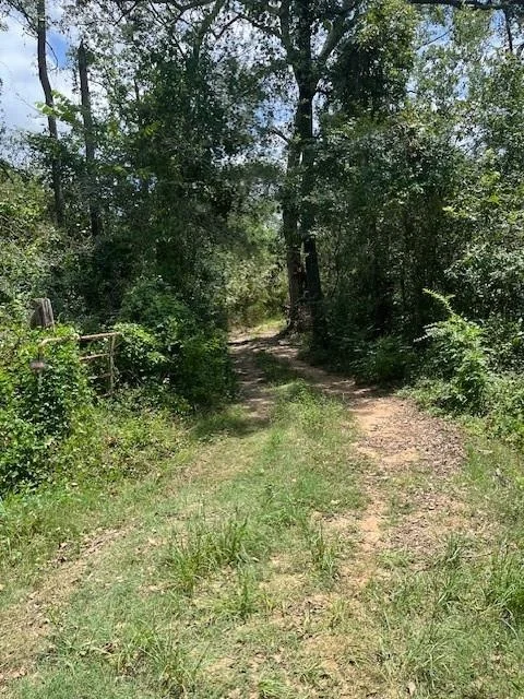 Photo of 13994 Walker Road