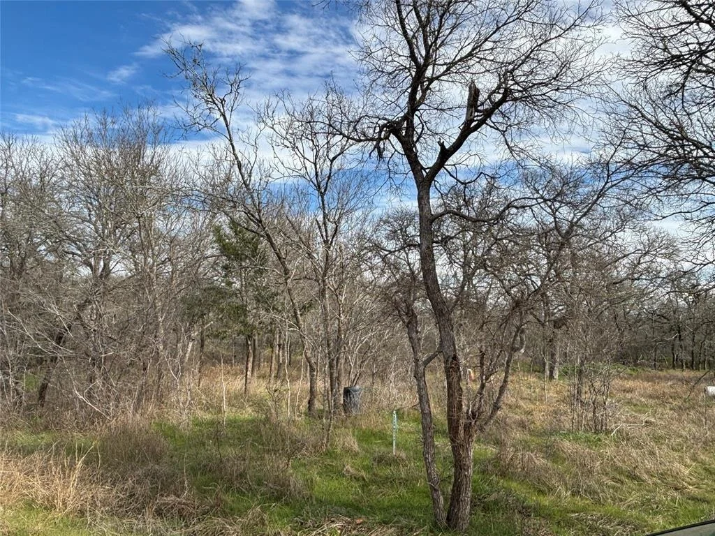 Photo of 245 Elm Forest Loop