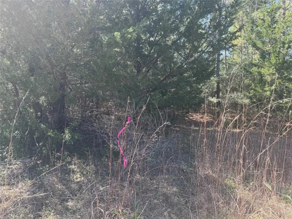 Photo of 0 Forgotten Forest Drive