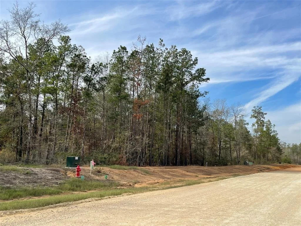 Photo of 11640 Grand North Road