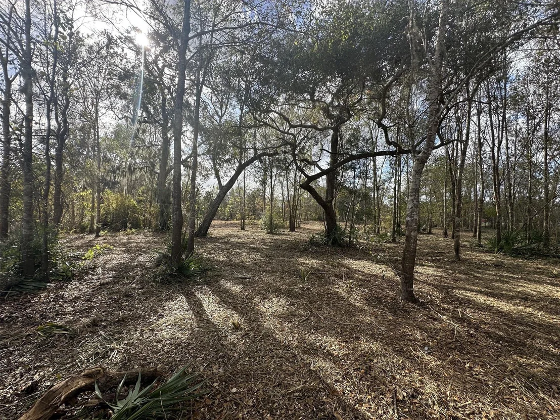 Photo of 0 County Road 244a