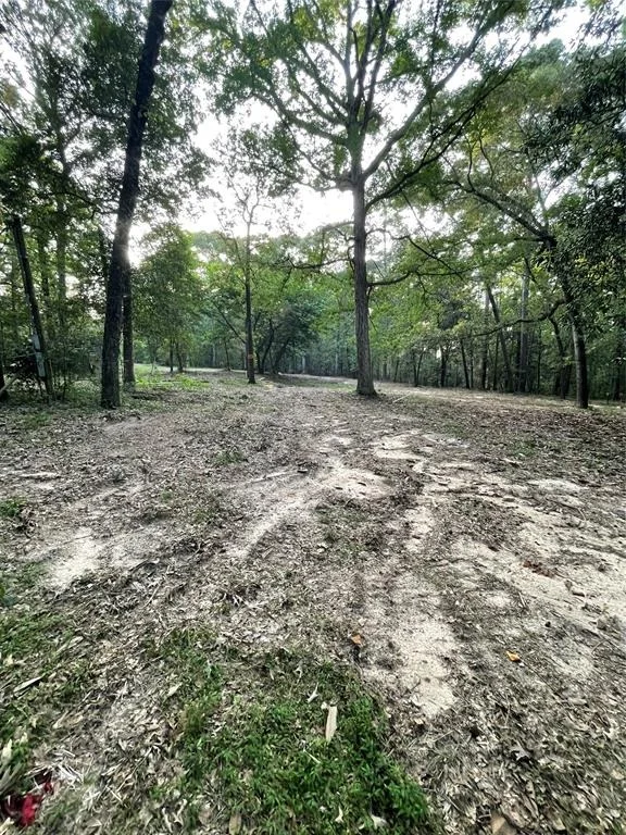 Photo of 11451 White Road