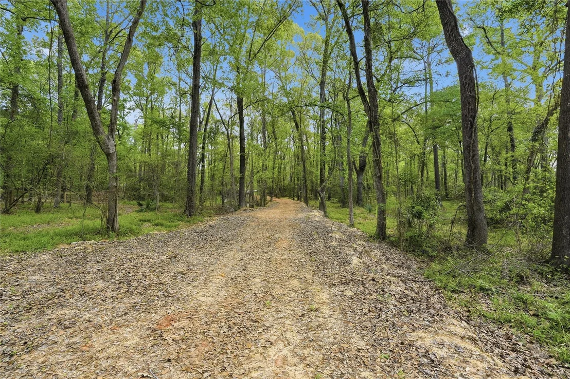 Photo of 19909 Big Oak Drive
