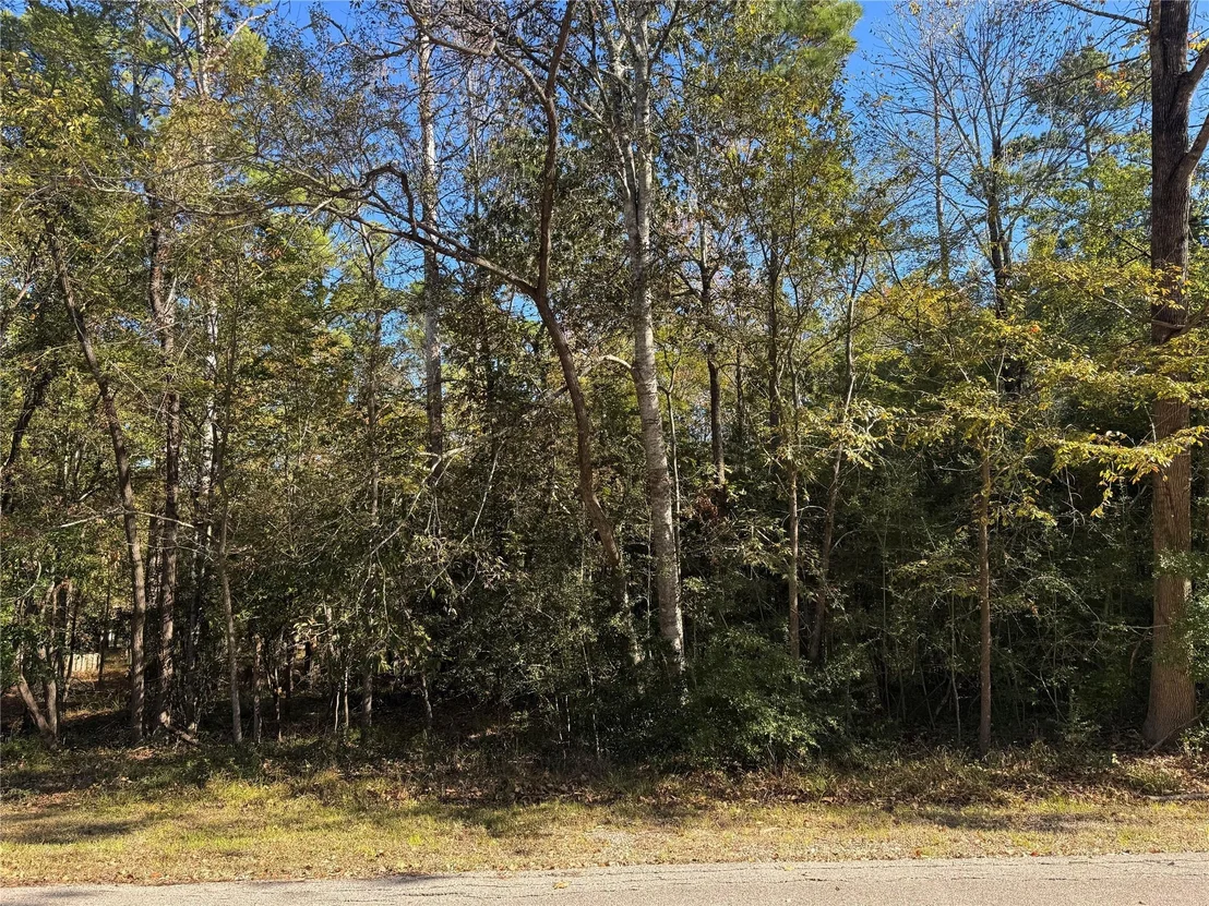 Photo of 58 N Fairway Loop