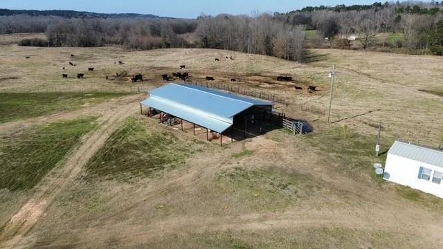 Photo of 834 County Road 1548