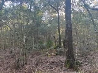 Photo of Tract 45, 46 Tx-61 Pr 117