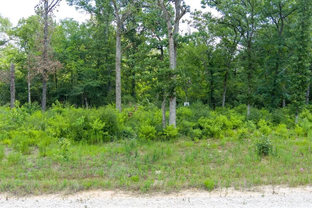 Photo of 6837 Private Road 1280