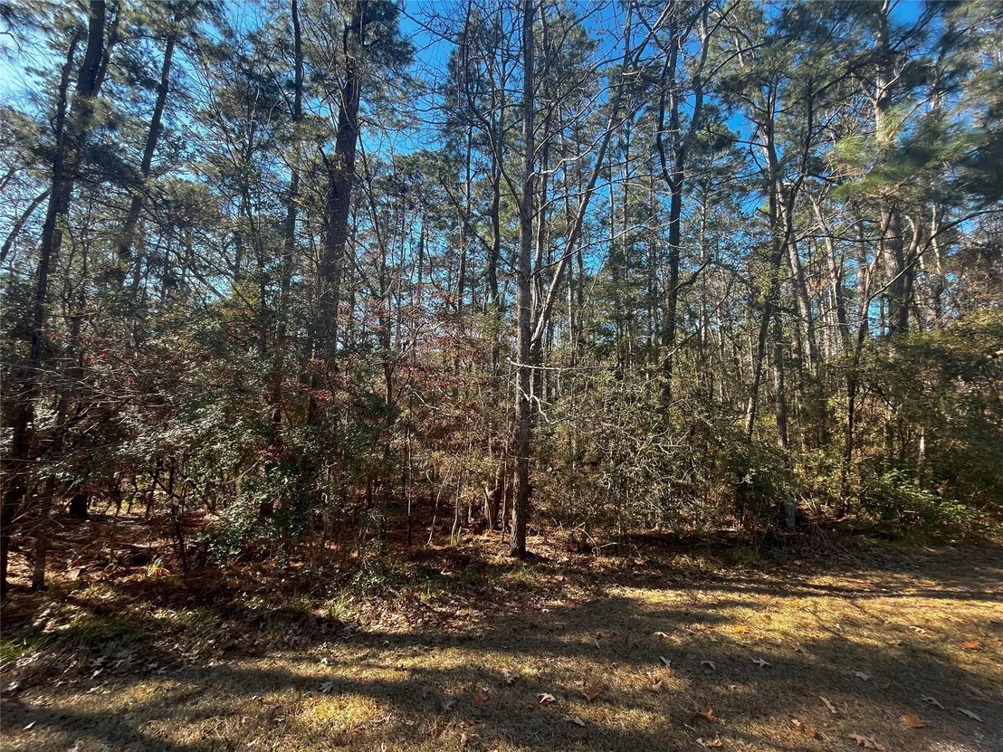 Photo of 61 Sunny Hill Drive