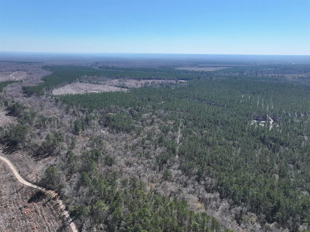 Photo of 422 County Road 4088