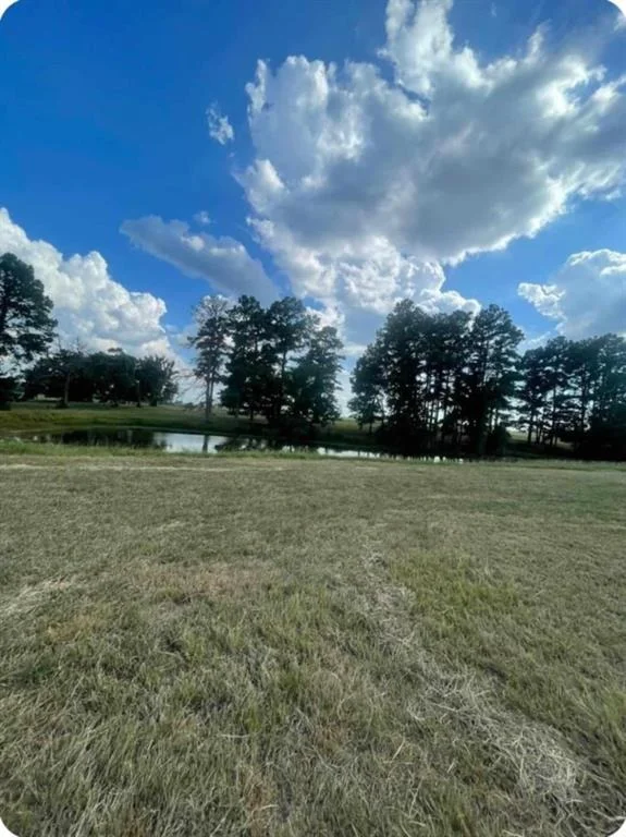 Photo of 0 Pr 1313