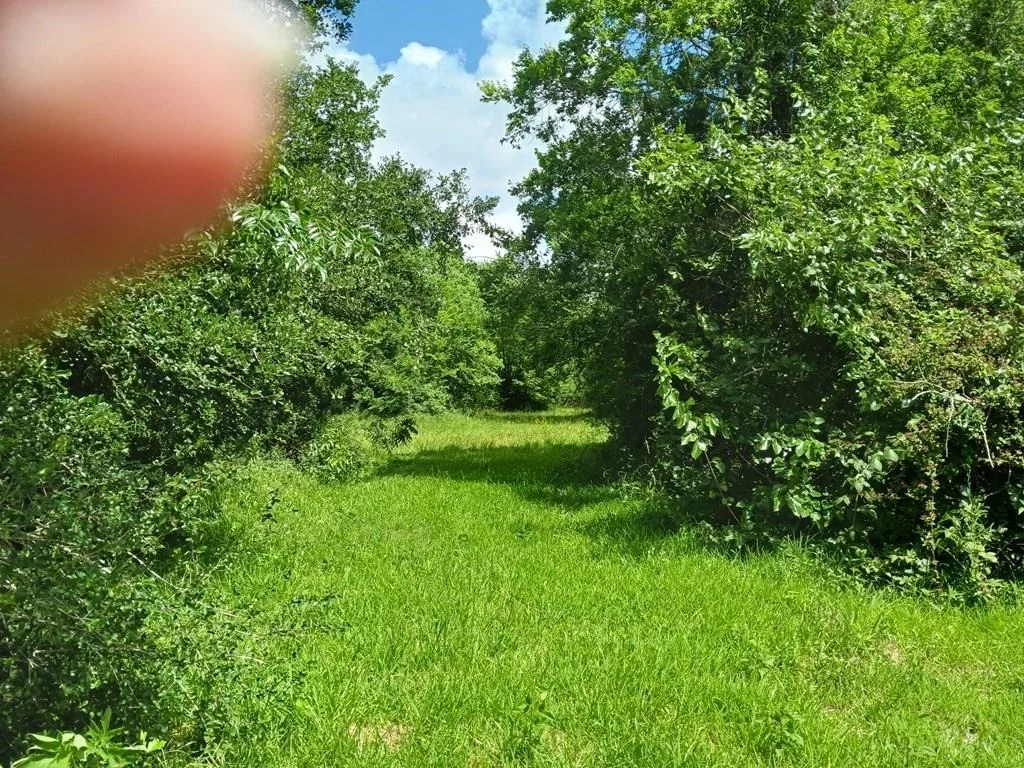 Photo of 00 Cahill