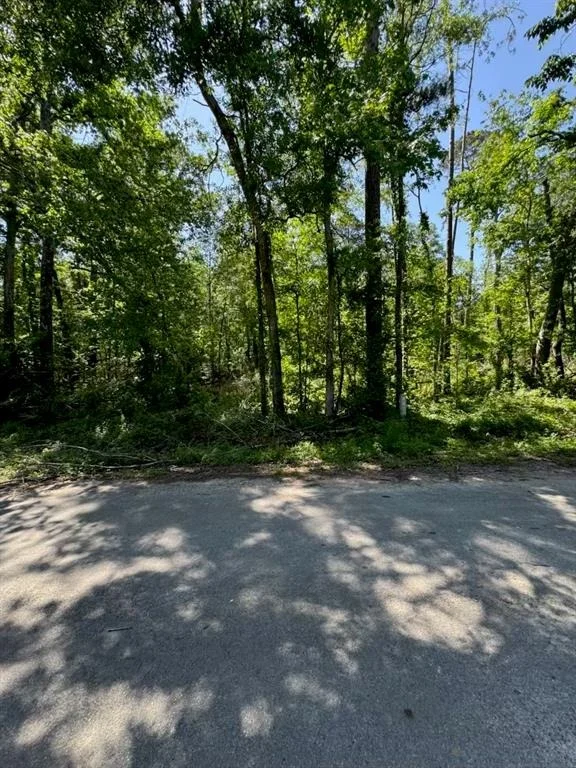 Photo of 146 County Road 3475