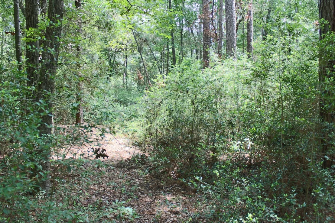 Photo of 10362 Hunter Creek Lane