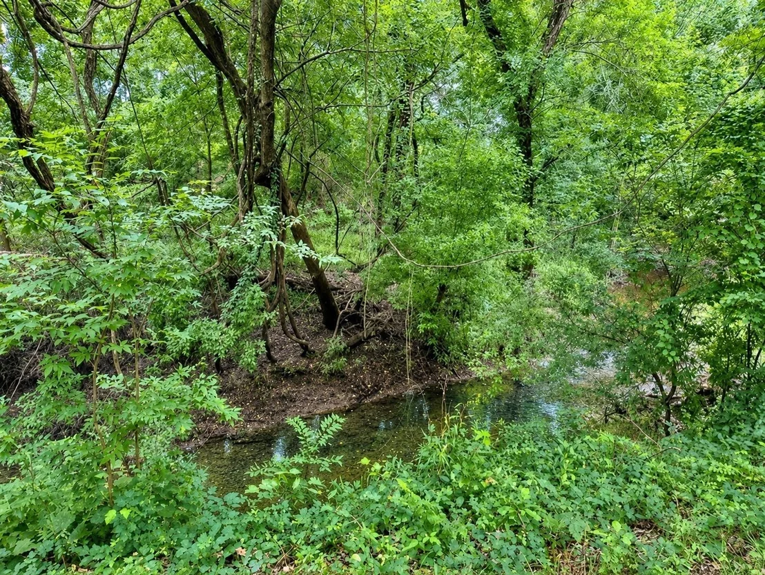 Photo of 3427 County Road 117