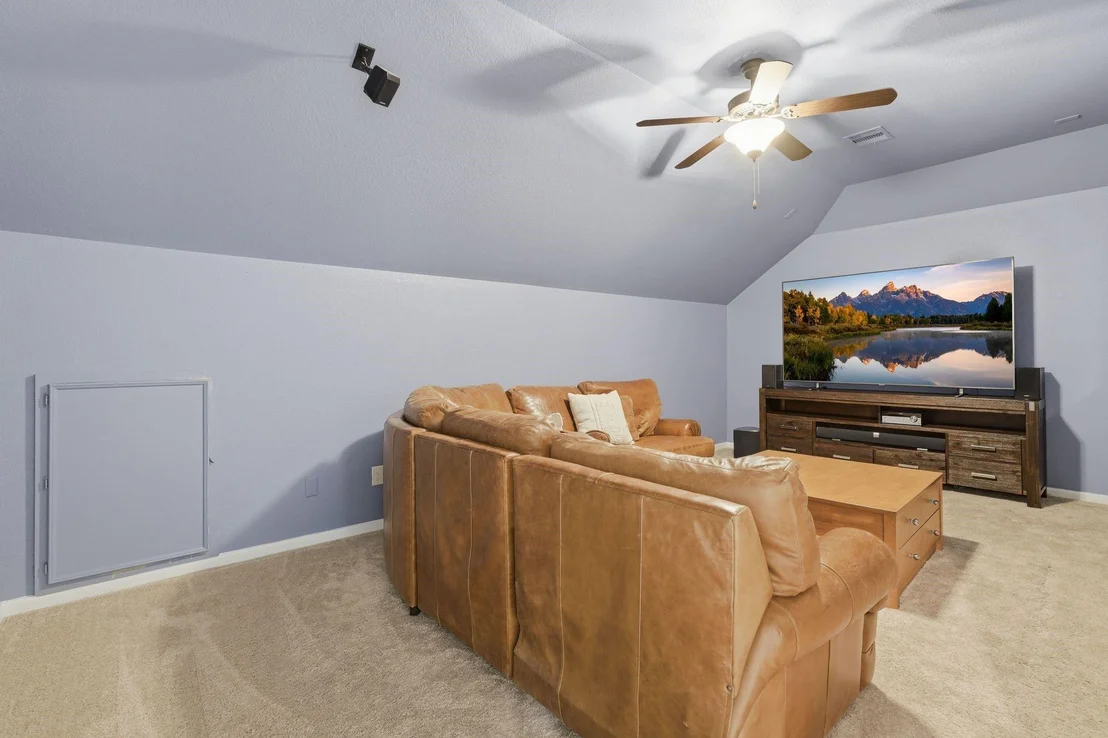 Photo of 2 Indigo Bunting Place