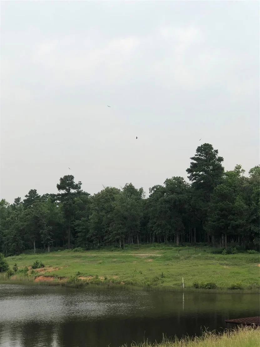 Photo of 1841 Pr 1315