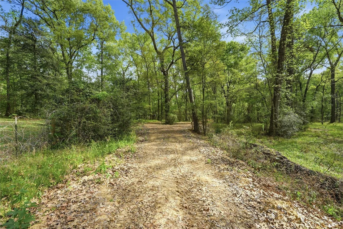 Photo of 19909 Big Oak Drive