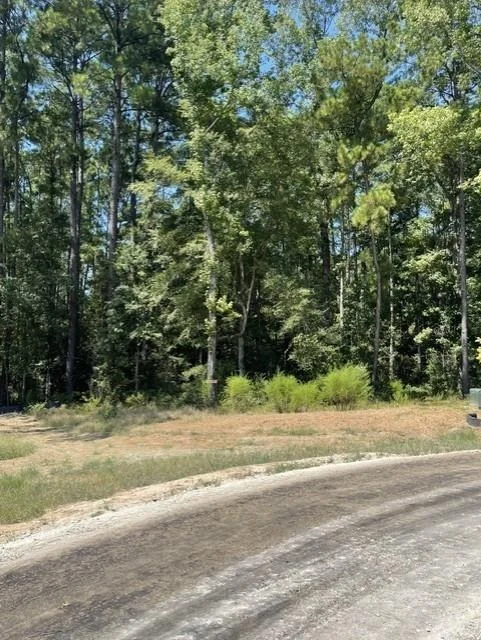 Photo of 101 Longfellow Road