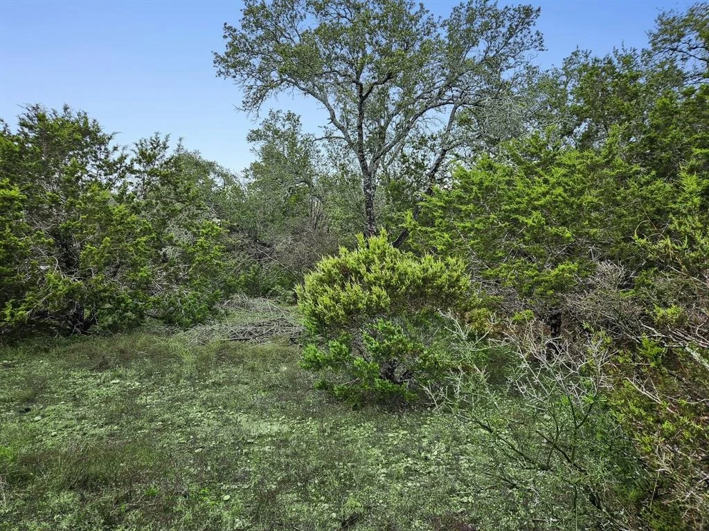 Photo of 157 Verbena Circle